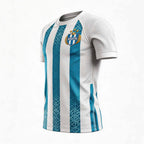 2026 World Cup Collection:Argentina Home Fan Version Jersey