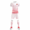 2026 World Cup Collection: Canada Away Fan Version Soccer Jersey