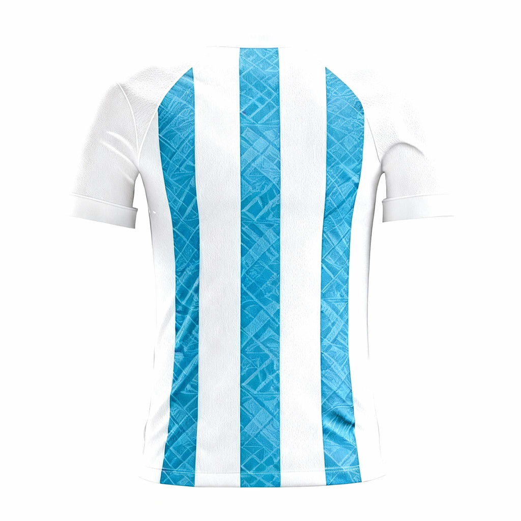 2026 World Cup Collection:Argentina Home Fan Version Jersey