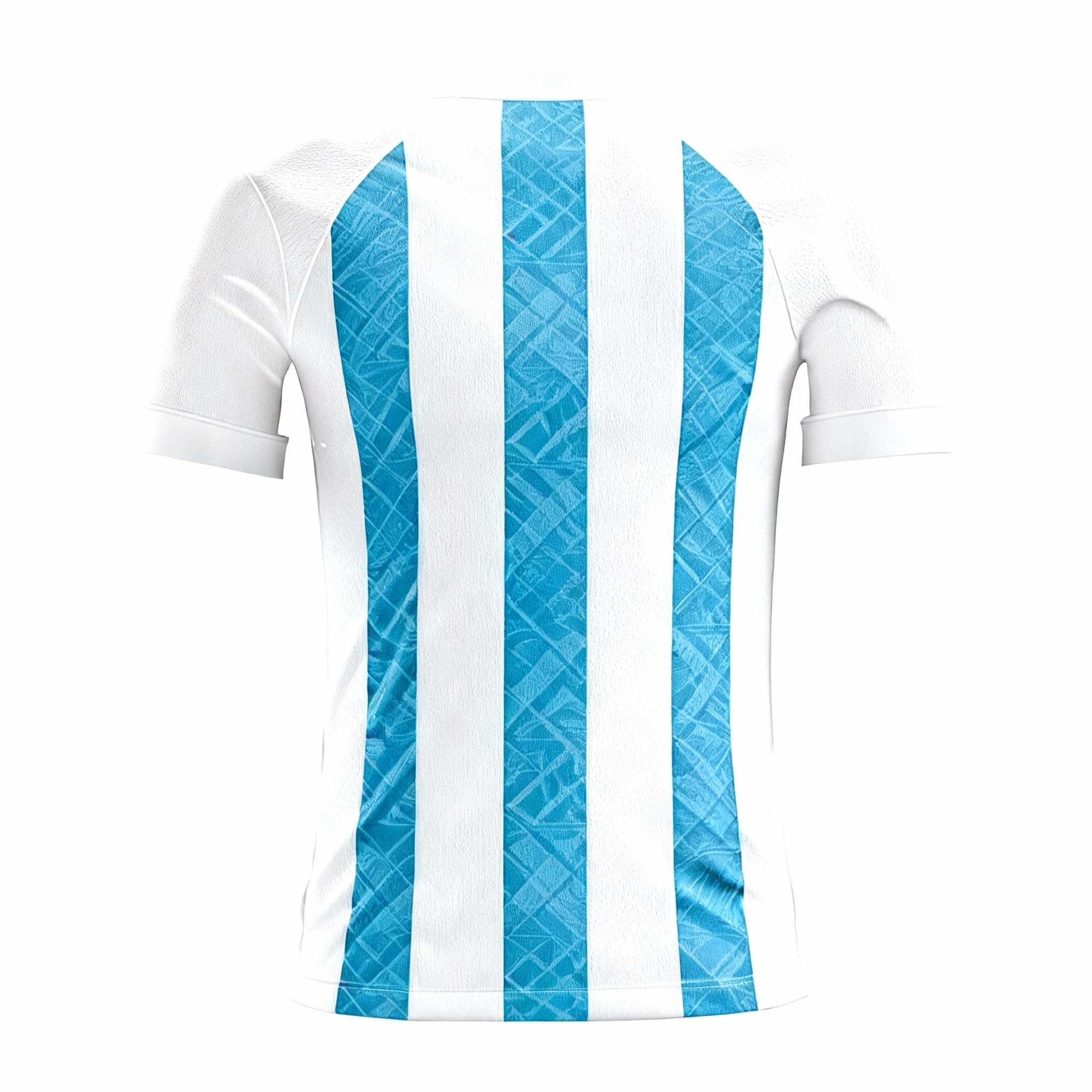 2026 World Cup Collection:Argentina Home Fan Version Jersey